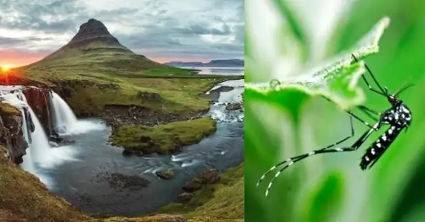 Необычные факты об Исландии