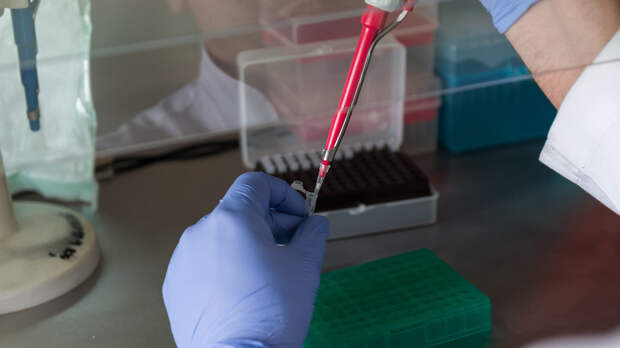 Британские спецслужбы оценили версию утечки коронавируса из лаборатории
