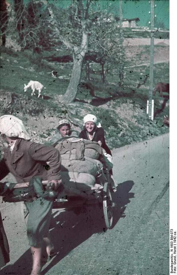 Крым в годы ВОВ, ч.1 Крым в годы ВОВ, ч.1