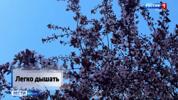 Легко дышать