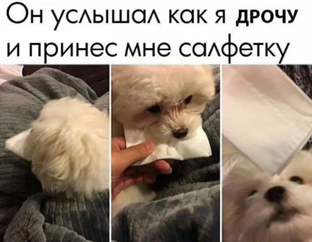 Подборка позитива на начало недели - отборный юмор