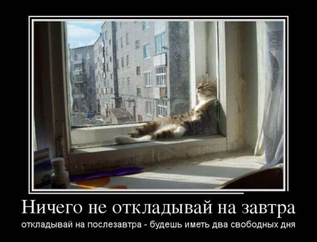 Демотиваторы (30 фото)