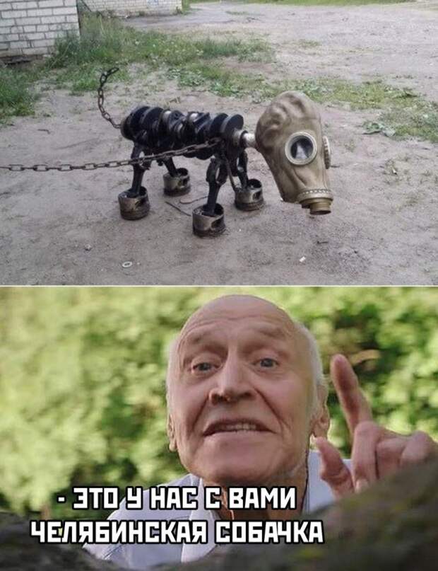 Смешные картинки 12 мая 2021