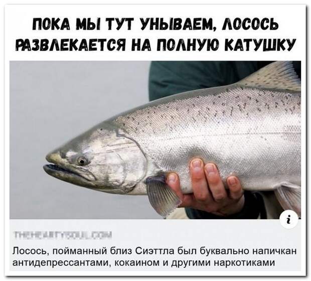 www.vsyako.net
