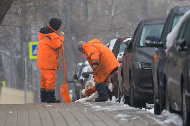 Экономист Николаев: работу мигрантов в РФ отследят через приложение с геолокацией