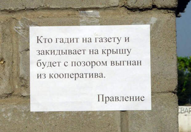 И на тебя найдется управа. | Фото: Самый сок! - LiveJournal. И на тебя найдется управа. | Фото: Самый сок! - LiveJournal.