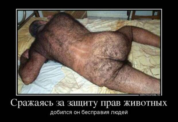 Демотиваторы в цитататах и афоризмах о жизни!