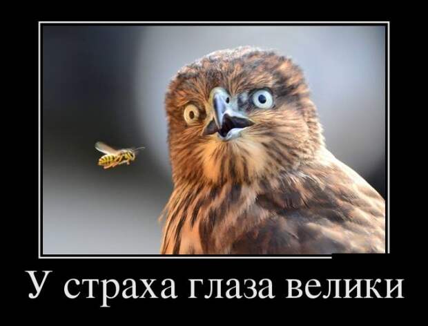 Демотиваторы
