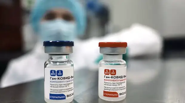 Гинцбург заявил, что «Спутник V» не может влиять на геном человека