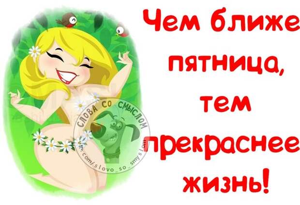 Прикольные фразочки в картинках