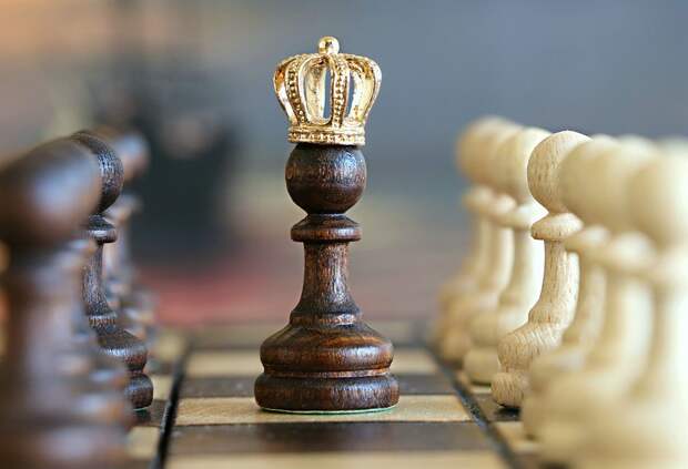 Шахматы. Фото: pixabay.com