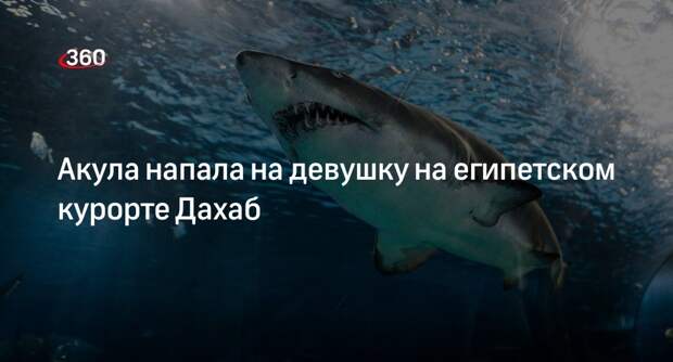 Очевидец сообщил о нападении акулы на девушку на курорте Дахаб в Египте