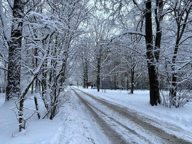 Снегопад обойдет Петербург стороной 14 февраля
