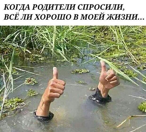 Прикольные картинки. Вечерний выпуск (53 фото)