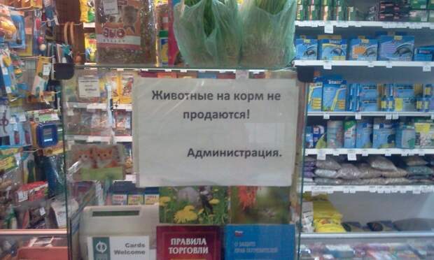lastwarning04 lastwarning04 Последнее предупреждение