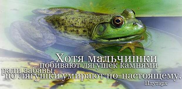Полезные цитаты на все случаи жизни (64 картинки)