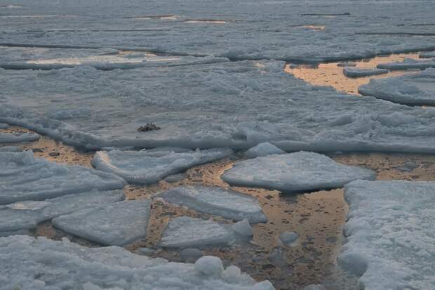 Выход на лед начнут запрещать по всему Приморью с приходом тепла