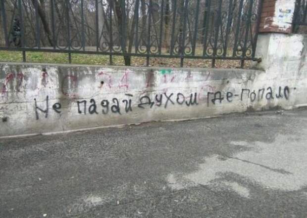 Креативные объявления! история, люди, приколы, фото, юмор