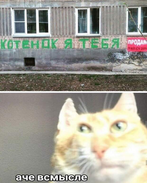 Смешные фото вечер 17 декабря 2020