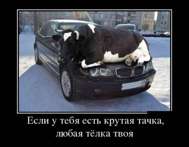Если у тебя есть крутая тачка, любая тёлка твоя демотиватор, юмор