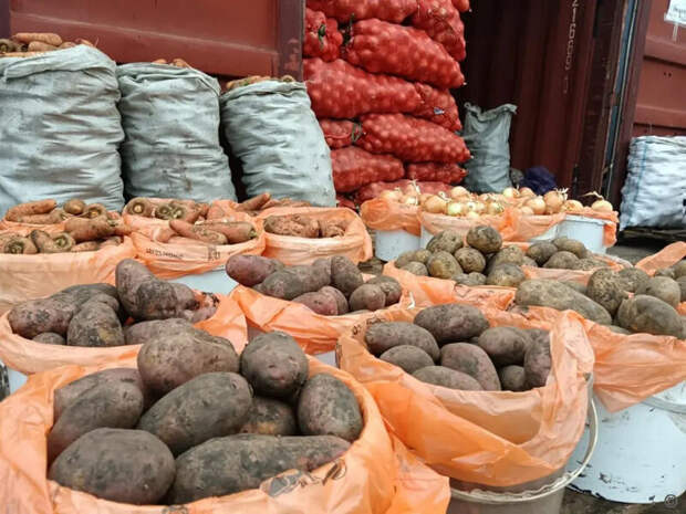 Фото: Мэрия Барнаула