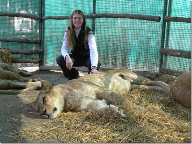 extreme-zoo_9_(funnypagenet.com)