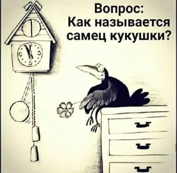 Ехал на дачу, поспорил с навигатором. Проспорил принято, домой, бельё, отвечает, можно, мужчины, полиция, купить, предложила, Подходит, предложил, «Дорогая, НЕТЖена, кидается, криком, диким, Разъяренный, бедер, думает, ванной