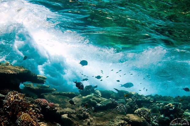 Лучшие в мире места для купания с чистейшей водой вода, купания, пляжи, путешествия, чистейшая