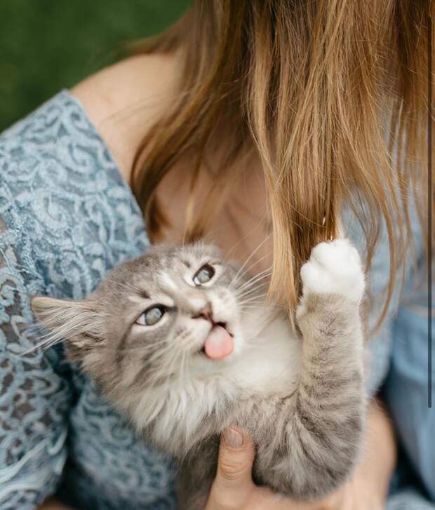Иммануил Кот