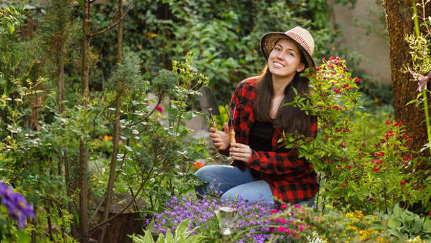 Малоуходный огород: что посадить на грядках, чтобы собрать урожай и не уработаться