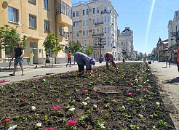 Компенсационное озеленение: в Самаре на улице Ленинградской  службы благоустройства восстанавливают цветники  после аномальной жары