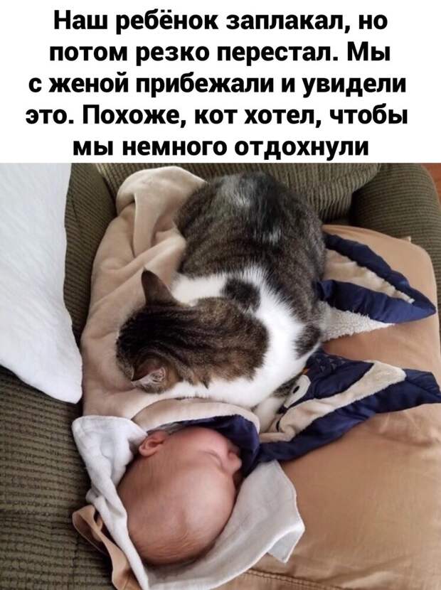 Помощник Помощник