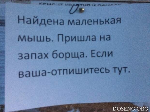 Прикольные картинки