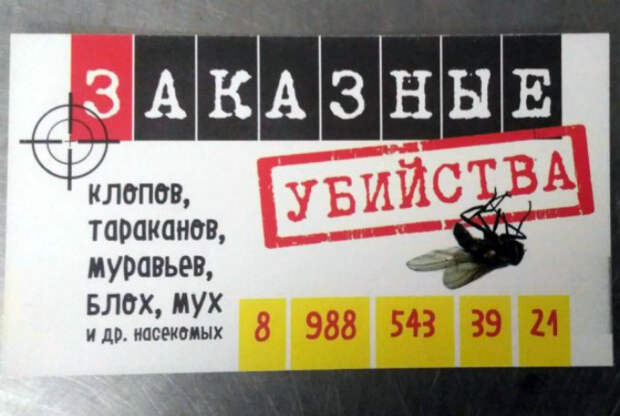 У насекомых нет шансов. У насекомых нет шансов.