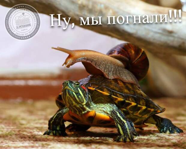Ну, мы погнали