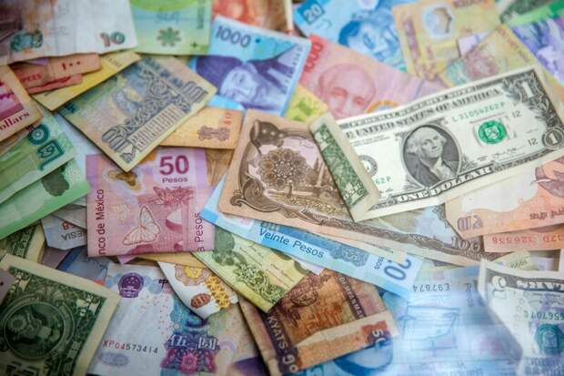 Страны БРИКС движутся к созданию единой валюты, но на это потребуется время