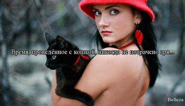 ПРИКОЛЬНЫЕ ВЫРАЖЕНИЯ И ФРАЗЫ ПРИКОЛЬНЫЕ ВЫРАЖЕНИЯ И ФРАЗЫ