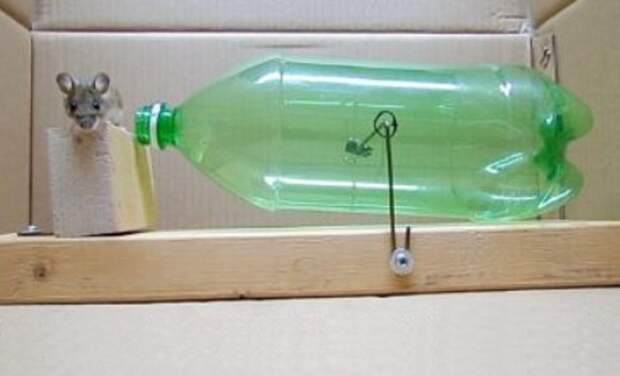 Мышеловка из пластиковой бутылки