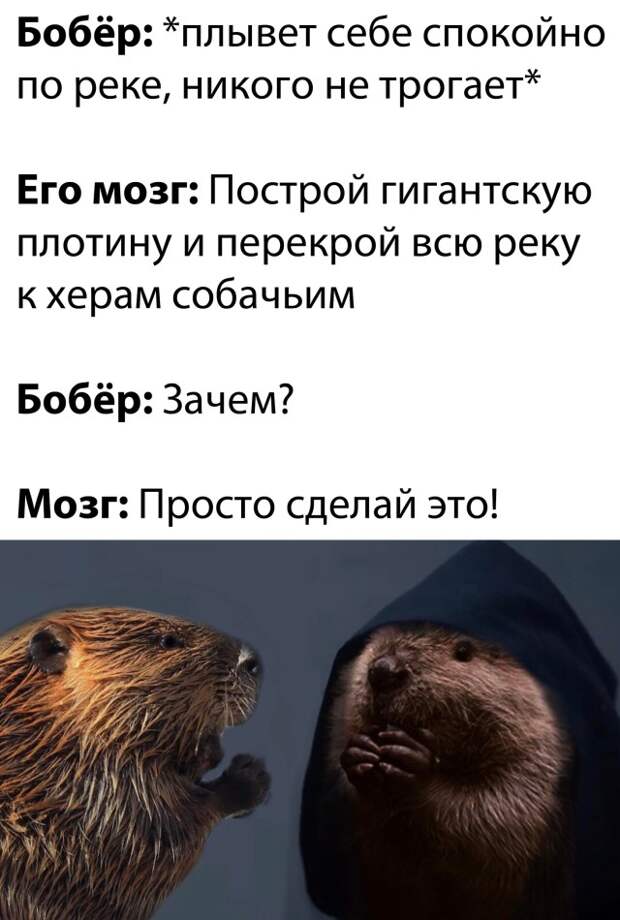 Смешные картинки 31 декабря 2020