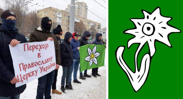 СЦУ с помощью Зеленского готовится канонизировать эсэсовцев