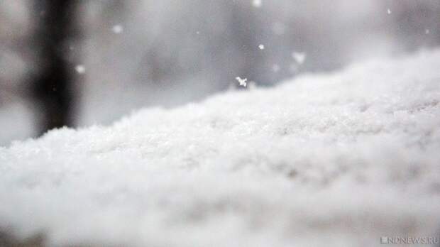 Гидрометцентр: снегопад в Москве может прекратиться предстоящей ночью