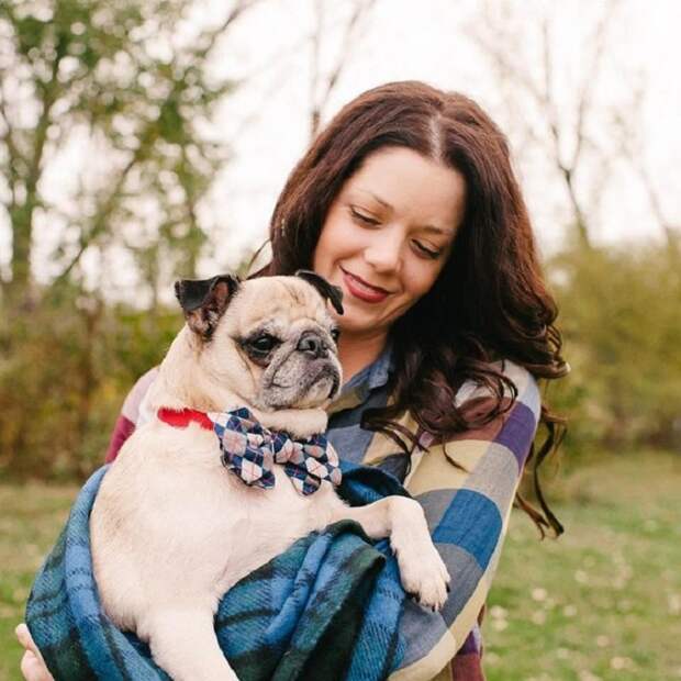 Девушка оставила обращение соседям, в котором извинилась за своего шумного мопса