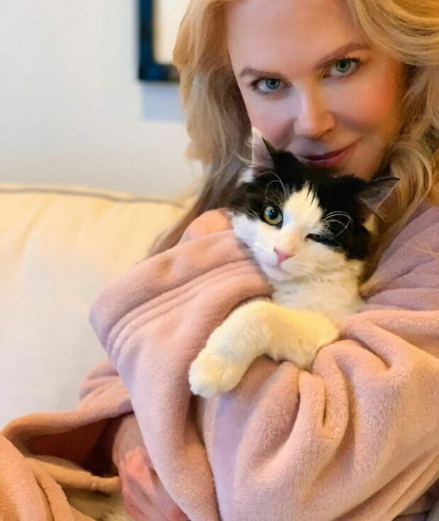 Знаменитости, которые без ума от своих кошек