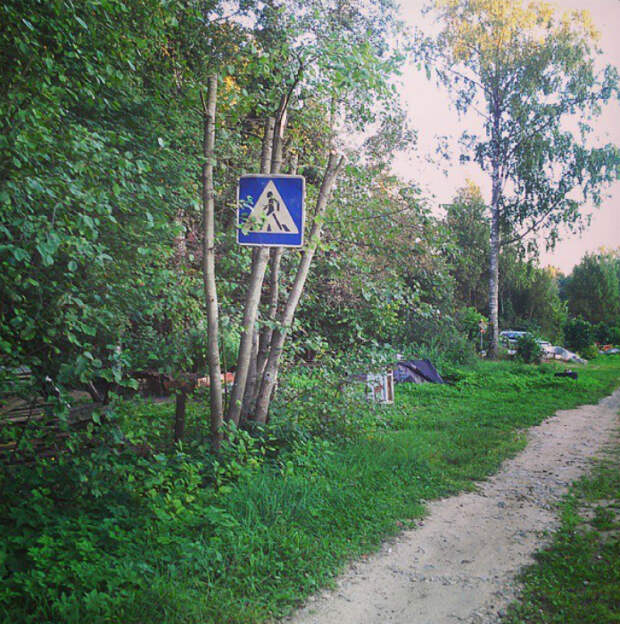 Пешеходный переход. Пешеходный переход.