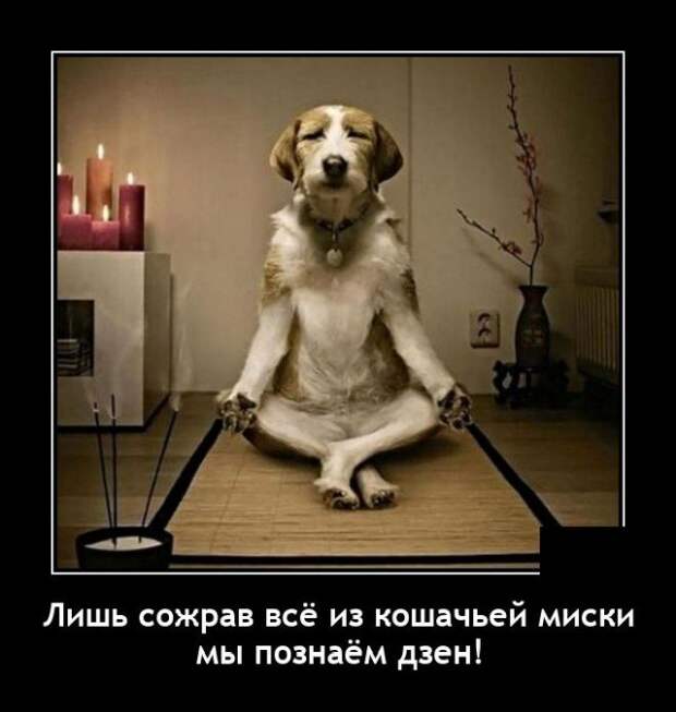 Демотиваторы Демотиваторы