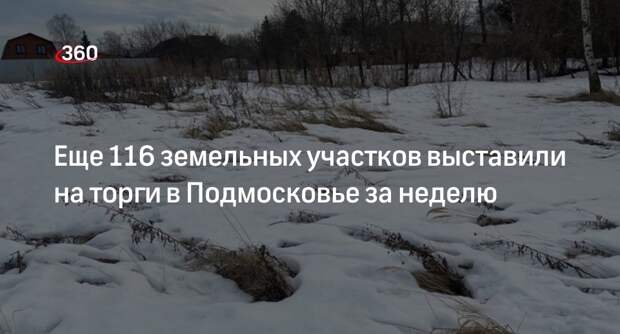 Еще 116 земельных участков выставили на торги в Подмосковье