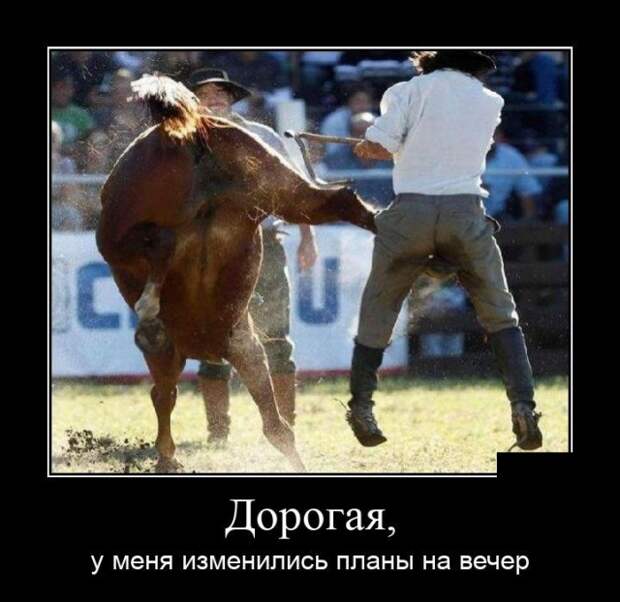 Демотиваторы (20 фото)