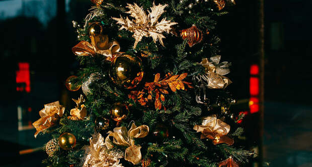 165 лет назад в России впервые нарядили рождественскую елку