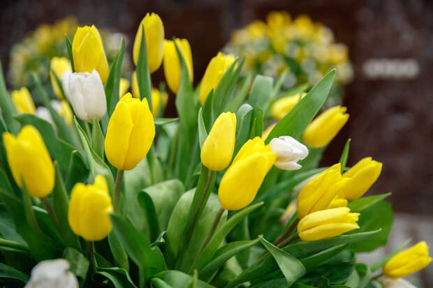 Мартта ике тапкыр озын яллар була