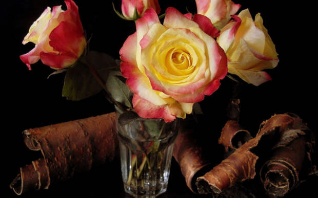 Nature___Flowers_Roses_in_a_glass_082404_16 (700x437, 265Kb)